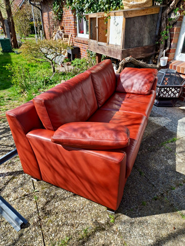 Ewald schillig sitzer leder - ewald,